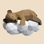 Bruin