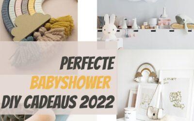 Perfecte Babyshower DIY Cadeaus 2022